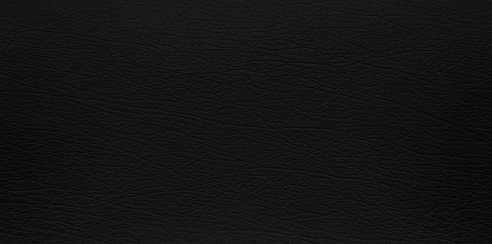 EDI for Leather and Allied Product Manufacturing INDUSTRY