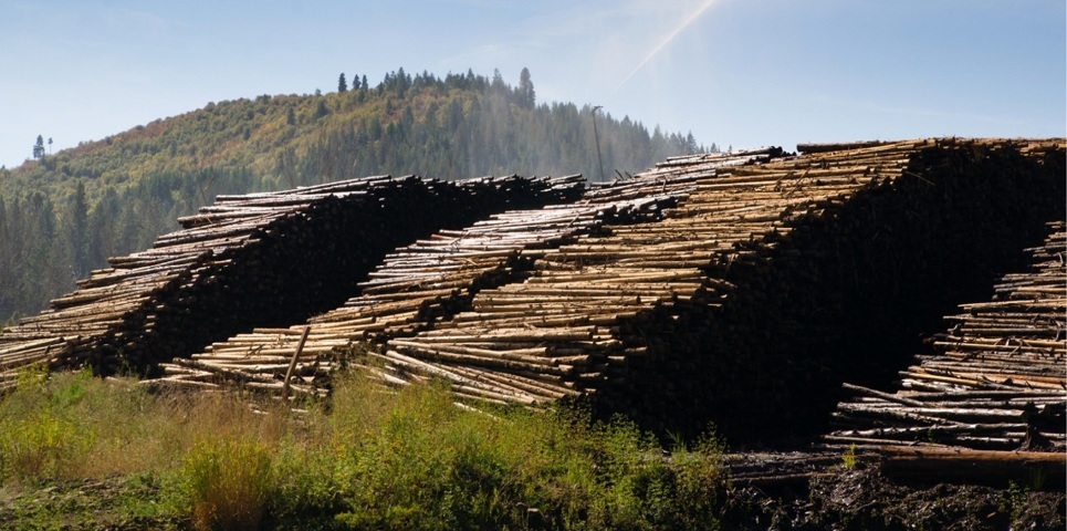 EDI for Timber, Logging & Paper Mills INDUSTRY